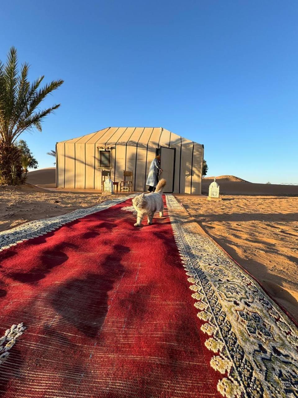 Nomad Camp Merzouga Εξωτερικό φωτογραφία